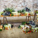 Sydney event stylists from Rainy Sunday styling the Vegie Delights Cook Book Launch