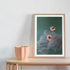 Anemone Flower Art Print