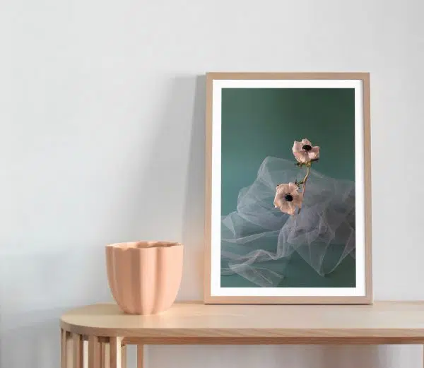 Anemone Flower Art Print