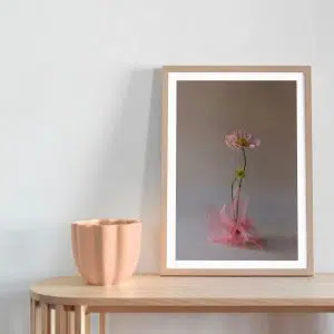 Poppies Flower Art Print