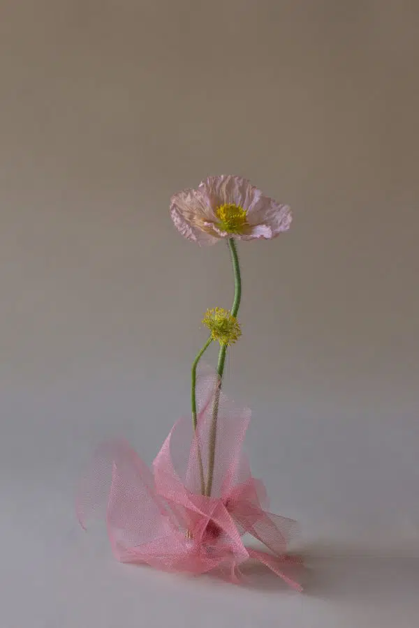 Poppy Flower Print by Rainy Sunday
